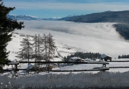 steinerhof-48