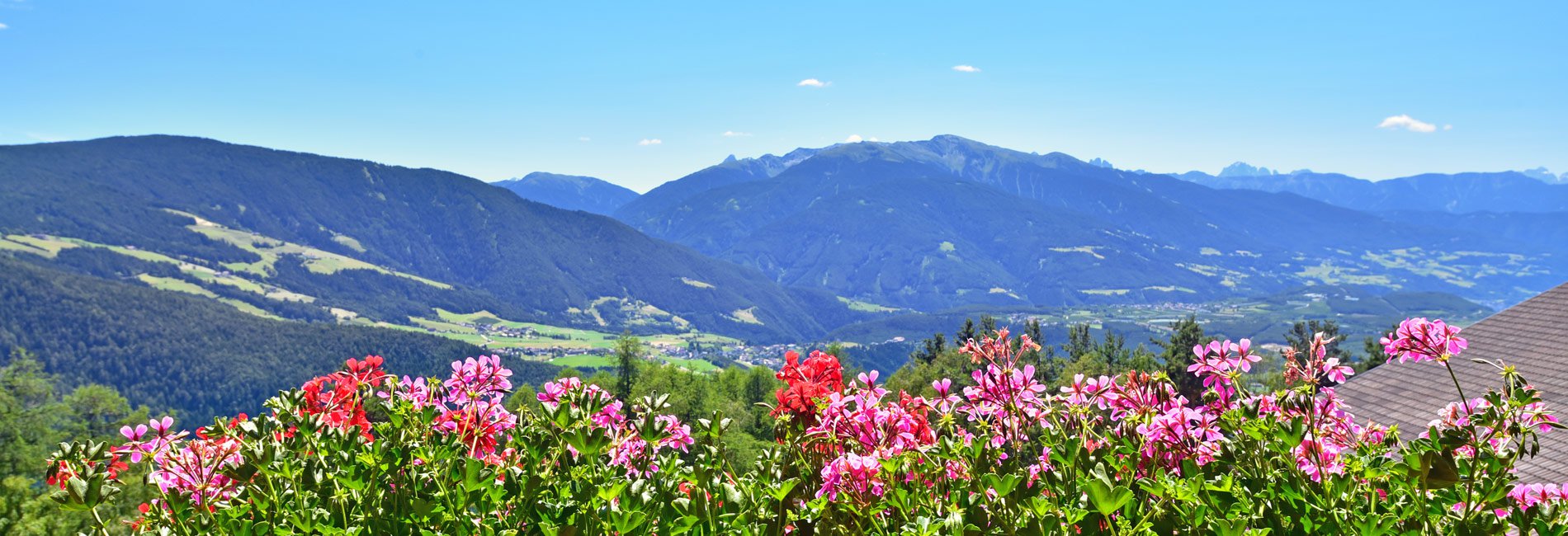 steinerhof-meransen-08